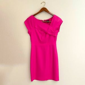 J. Crew Pink Dress